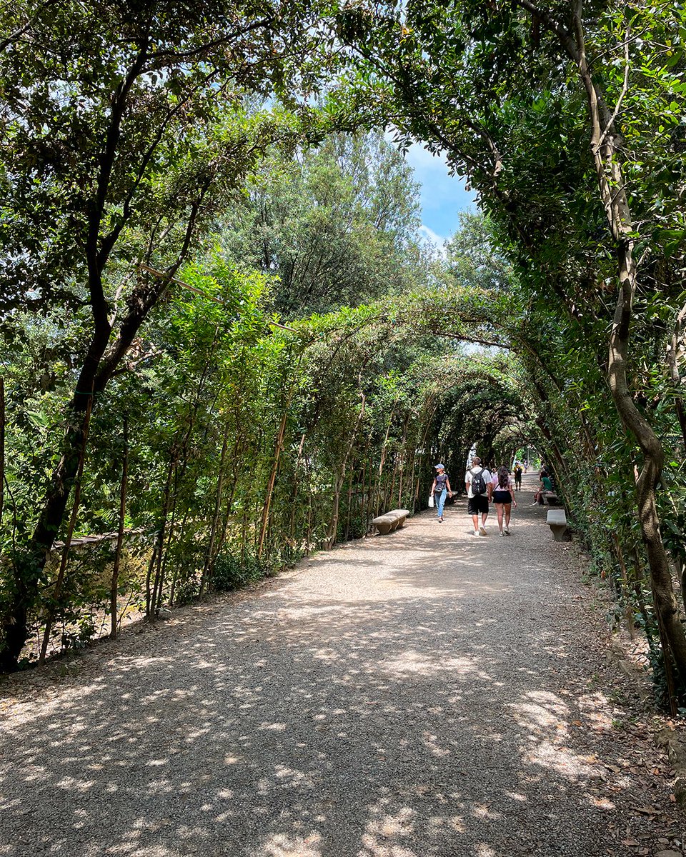 Shaded paths in Boboli Gardens