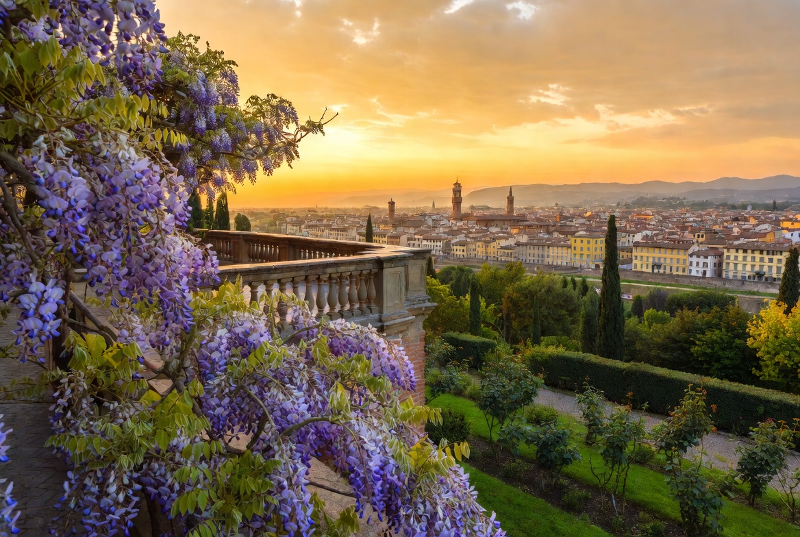 Golden winter light over Florence from the Bardini gardens