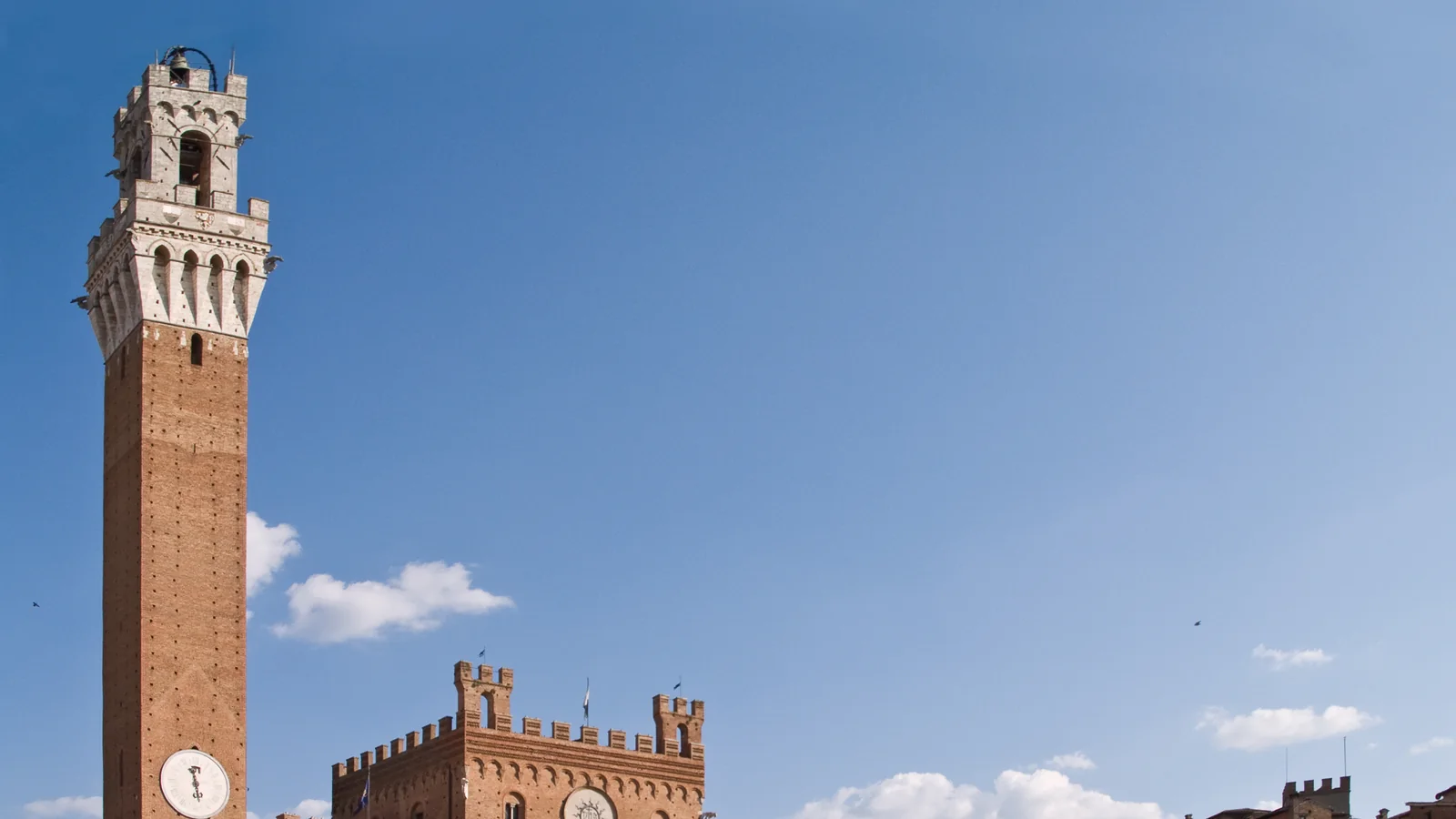 Palazzo Pubblico and Torre del Mangia above Siena's historic centre