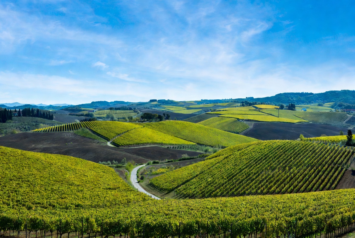 A road winding through Chianti vineyards in the hills between Florence and Siena