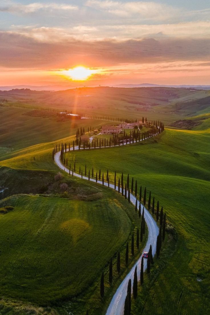 Cypress trees and rolling hills in the Val d’Orcia